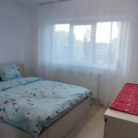 Cozy Apartment